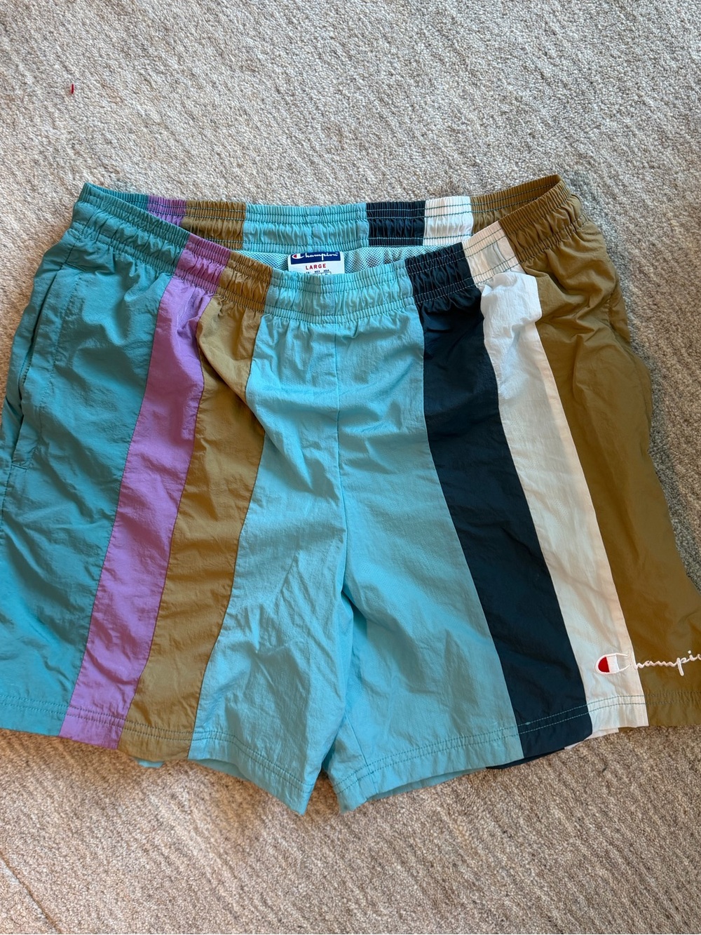 Champion Teal Multi-Stripe Men's Swim Trunks Shorts - Size L